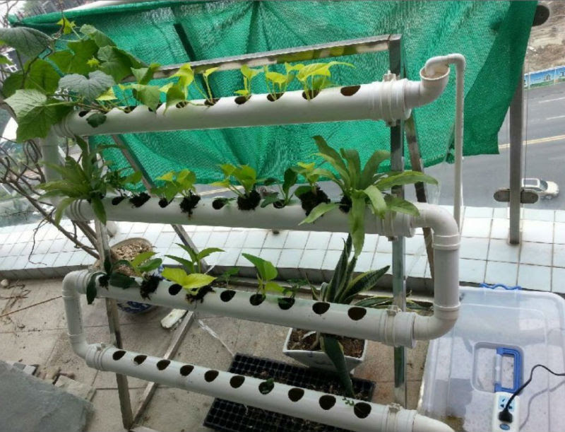 Indoor Hydroponics System