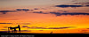 Personal-2009-07-01-Canon EOS-1D Mark III-0040-Edit