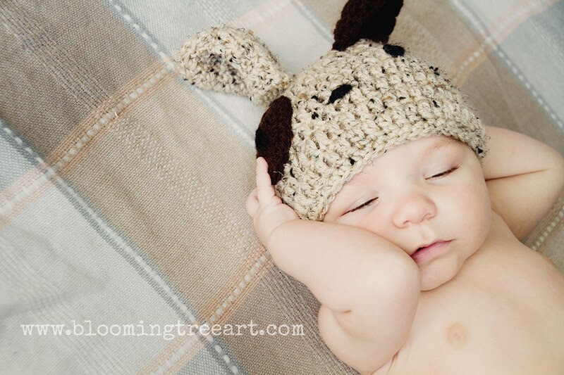 IMG_5579-1 copy