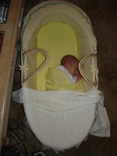 Oliver in his Moses basket