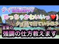 √99以上 名言 短い かっこいい 529018-名言 短い かっこいい
