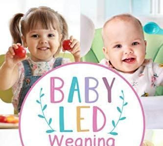 Download PDF Online Baby Led Weaning: Das breifrei Kochbuch für Babys und Kleinkinder mit Grundlagen zu BLW und über 150 Rezepten für die Beikost (Das große Buch der Babyernährung, Band 1) PDF Ebook online PDF