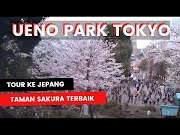 Terbaru MENGUNJUNGI UENO PARK SAAT MUSIM SAKURA WISATA KE JEPANG, paling seru!