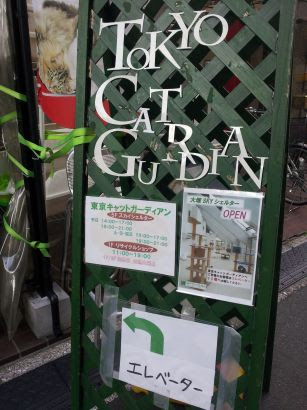 東京キャットガーディアン