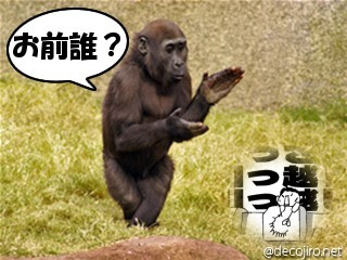 猿 画像 デコじろう