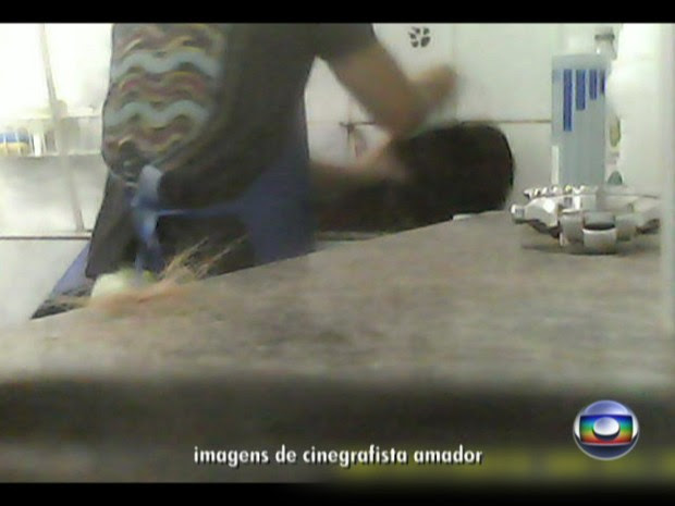 Vídeo mostra flagrante a animal em pet shop no Rio (Foto: Reprodução/TV Globo)