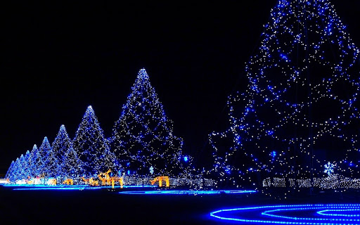 Xams Hd Wallpapers
