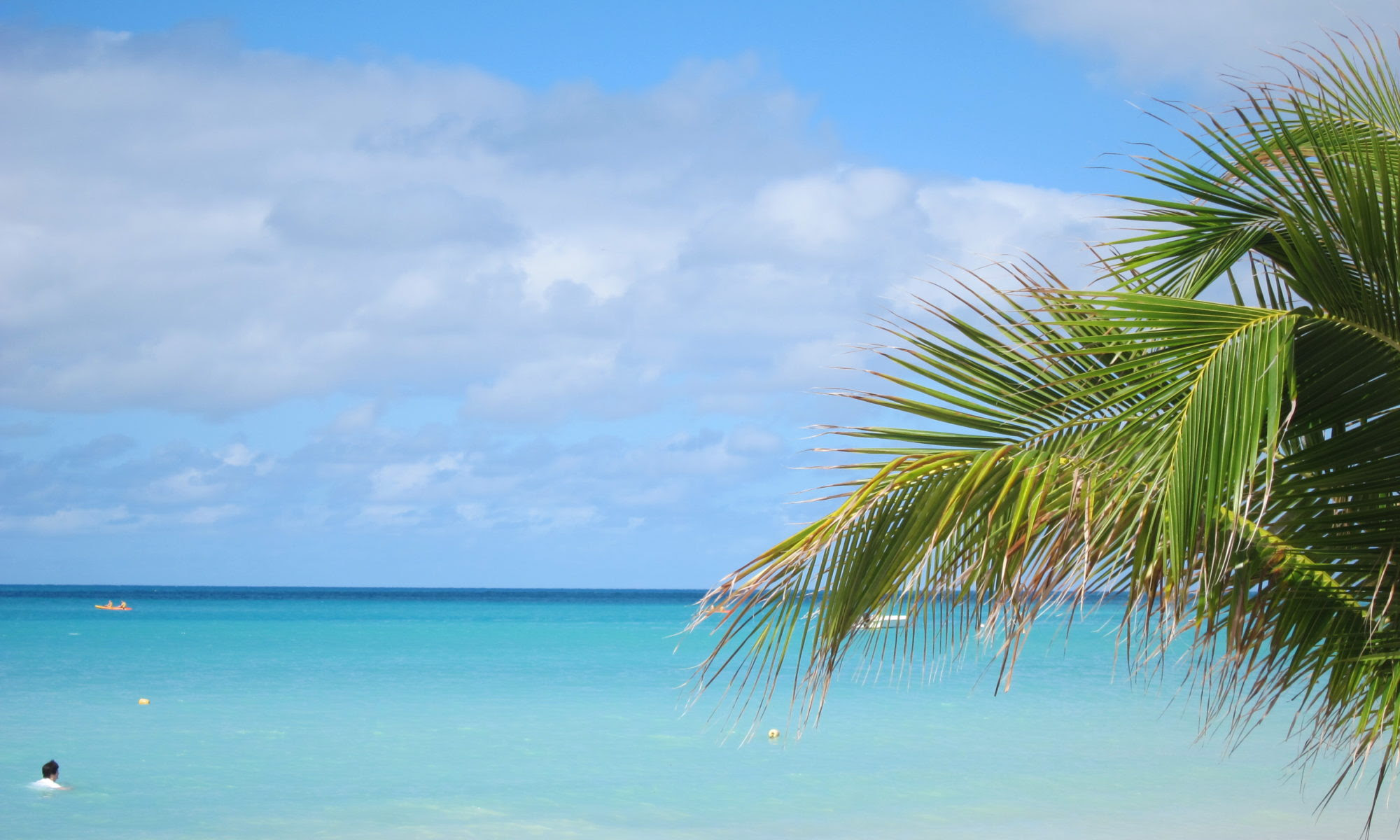 Boating Dream Living In The Caribbean On A Cataraman