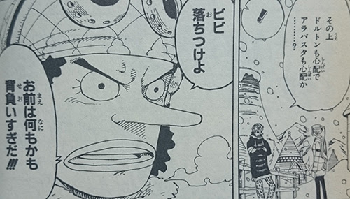 ビビ落ち着けよ お前は何もかも背負いすぎだ 名言集 ワンピース魂