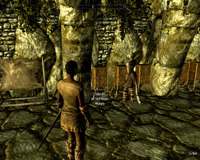 スカイリムの掃除人13 スカイリムのお値段 商人所持金最大値の突破 方向音痴のskyrim