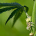 4:20 - Cvn9 Shnujfudm : Таблица тиражей с информацией о розыгрыше суперприза.