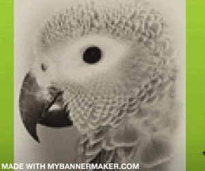 create your own banner at mybannermaker.com!