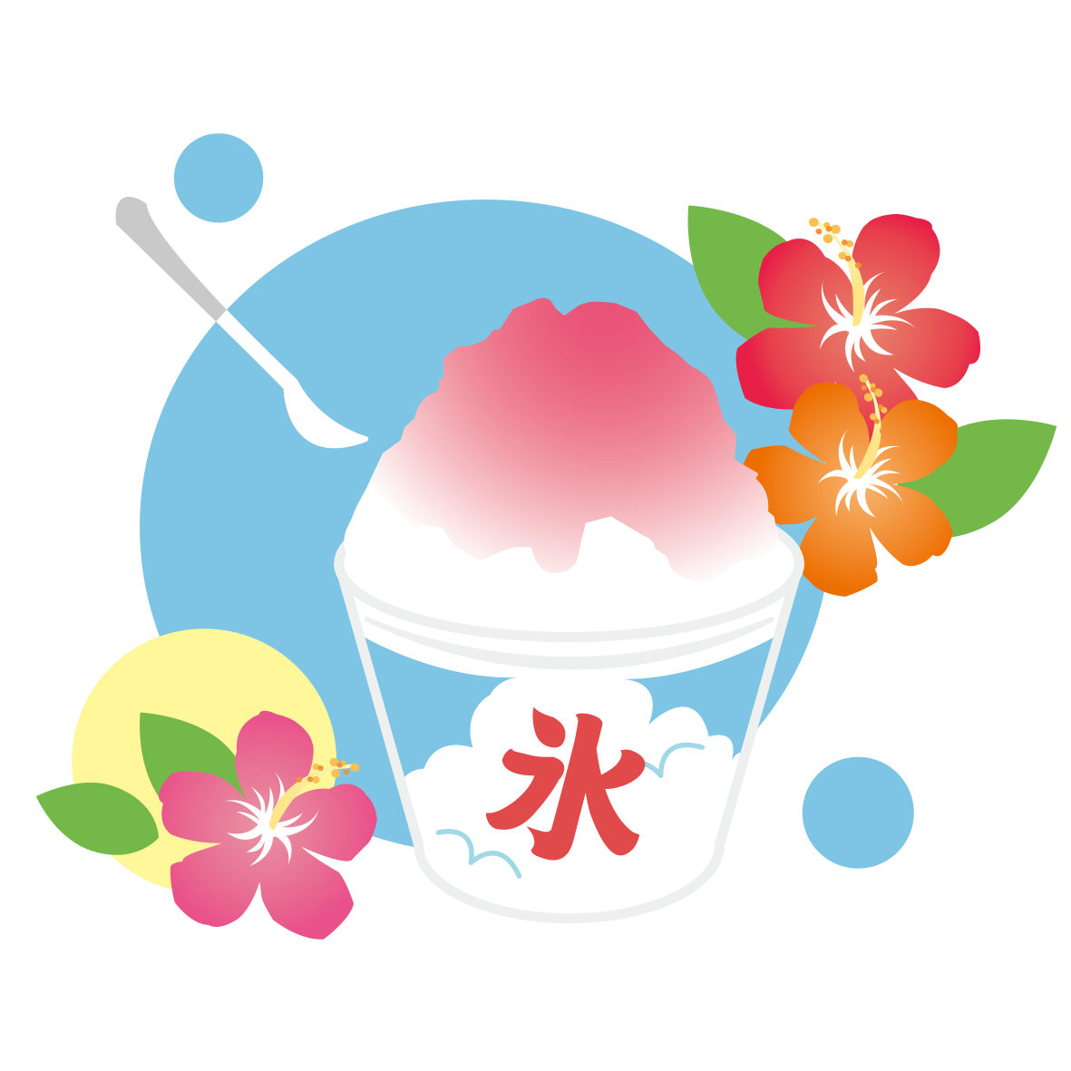 ハイビスカスの画像 原寸画像検索