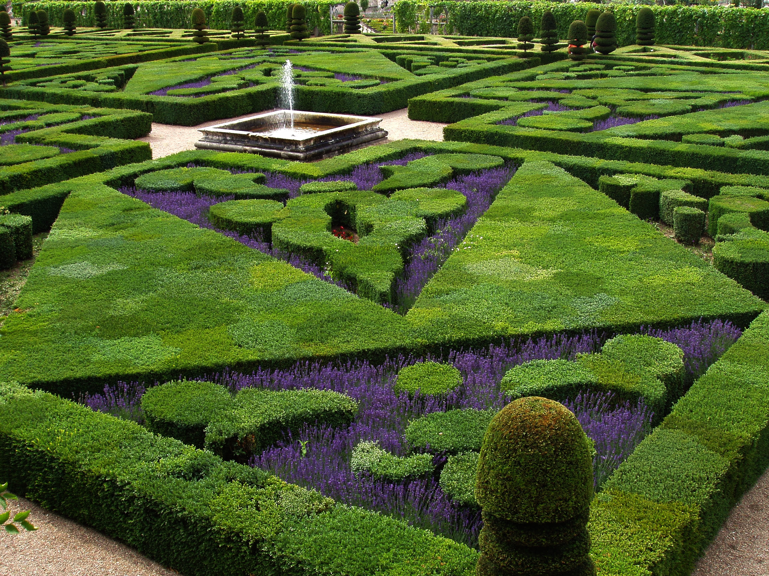 French Formal Garden
