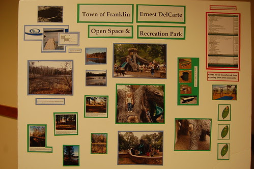 DelCarte Recreation Proposal