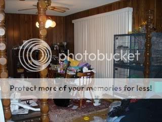 Photo Sharing and Video Hosting at Photobucket