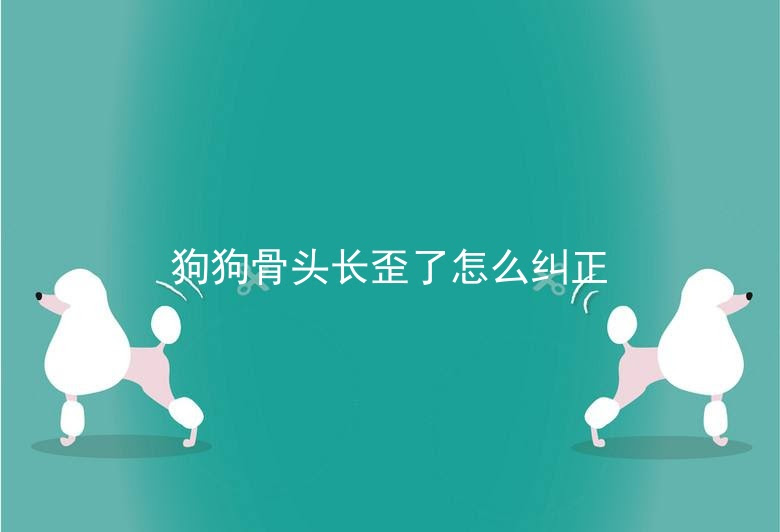 狗狗骨头长歪了怎么纠正 狗狗骨头断了会自愈吗 狗狗骨头断了会愈合嘛 宠伴网