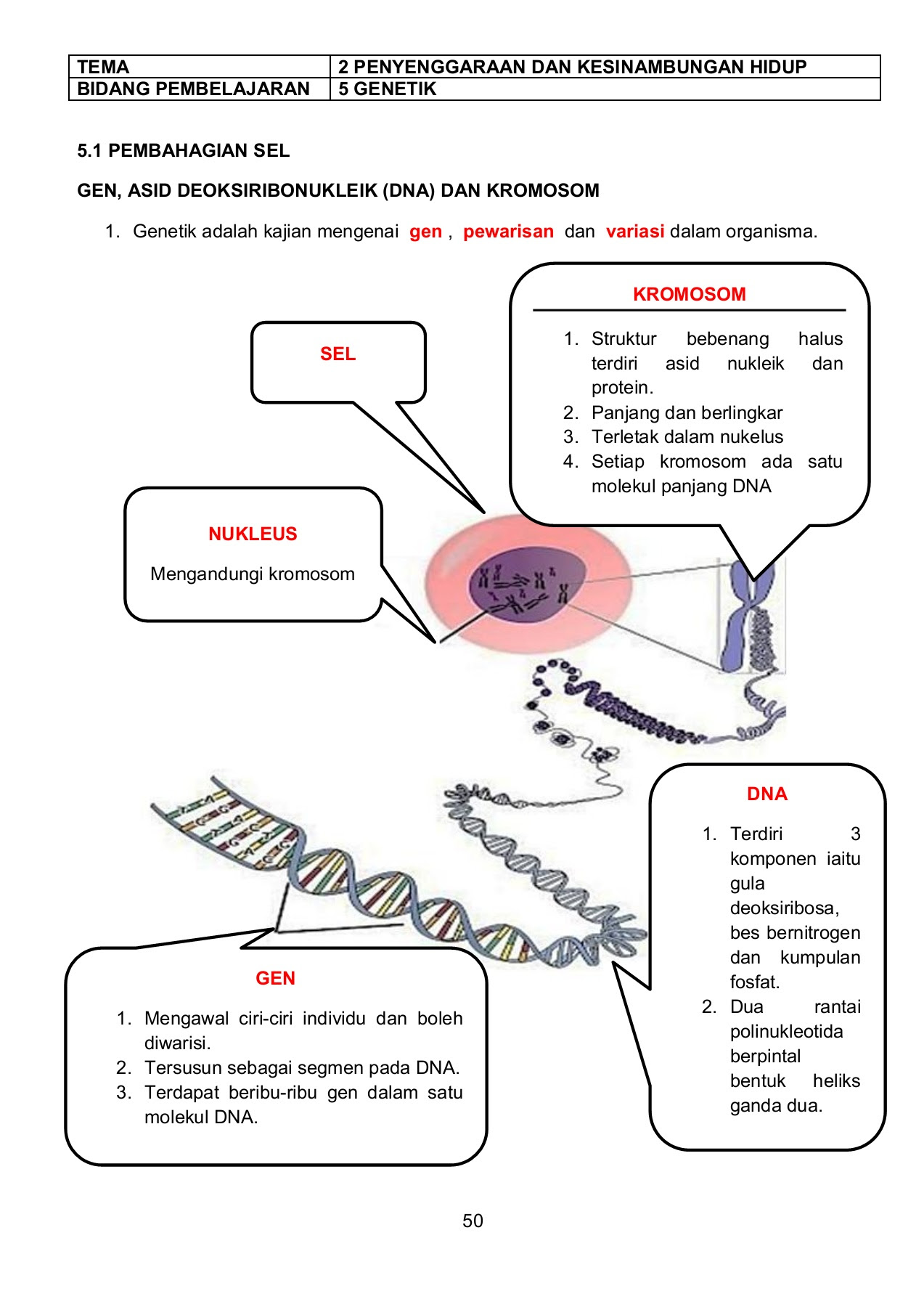 Nota Ringkas Sains Tingkatan 1 Bab 4 Sains Mania  Riset