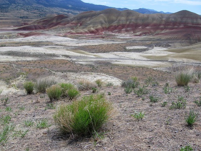 Painted Hills 9