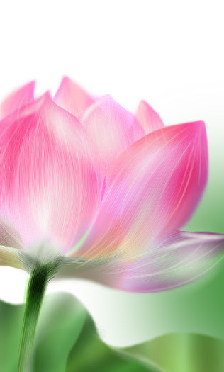 描き方 蓮 ちょっとお絵描き 初心者向けパソコンのお絵描きレッスン
