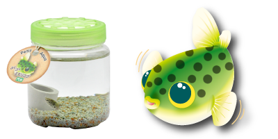 ぷくぷくミドリフグ Petit Aqua プチアクア 神畑養魚株式会社