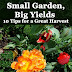 Vegetable Gardening In Small Areas