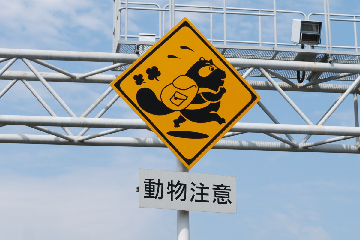 二丈浜玉道路の動物注意標識 さみーブログ