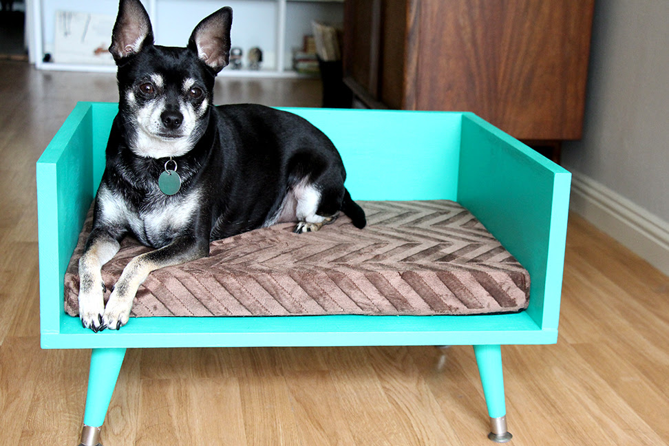 DIY Mid Century Style Pet Bed - with a Touch of Star Trek ...