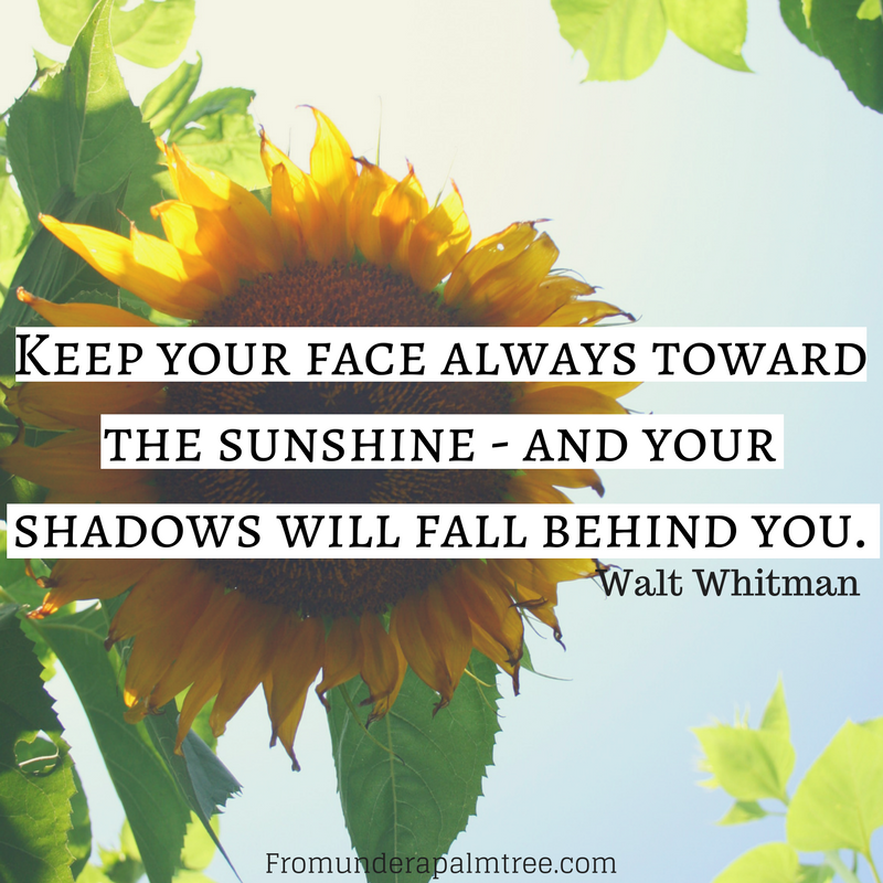 Keep Your Face Always Toward The Sunshine And Your Shadows Will Fall Behind You From Under A Palm Tree