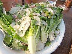 Lettuce Parmesan Salad
