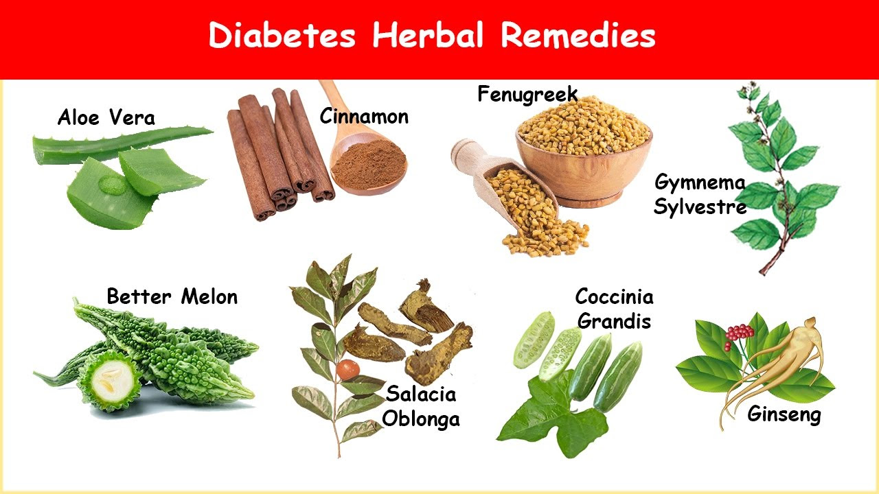 MEDICINAL PLANTS FOR TREATING DIABETES