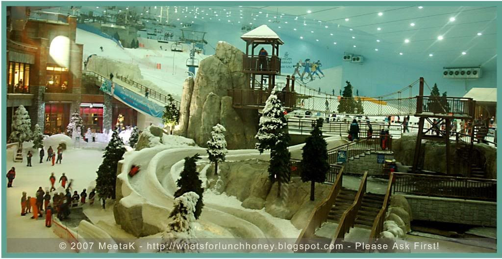 Dubai Ski by MeetaK