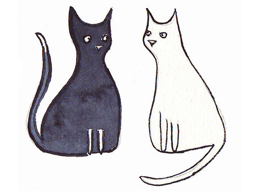 b&wcats