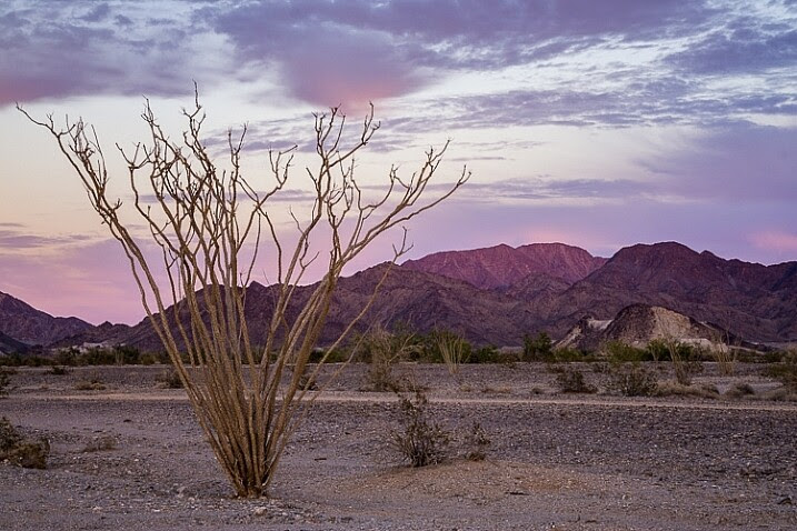 Boondocking spot off Ogilby Road near Yuma, Arizona.
