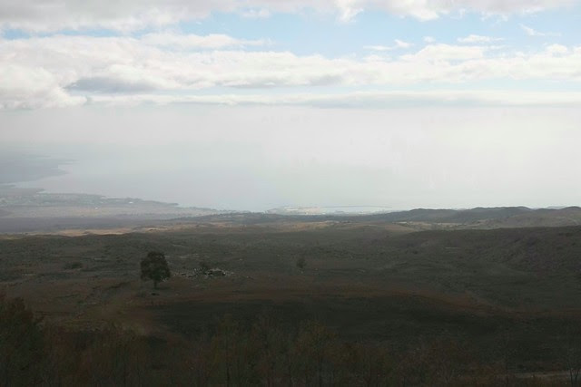 Kohala