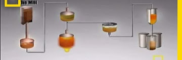 Beer Malts Chart Free Download Videos Mp3 and Mp4