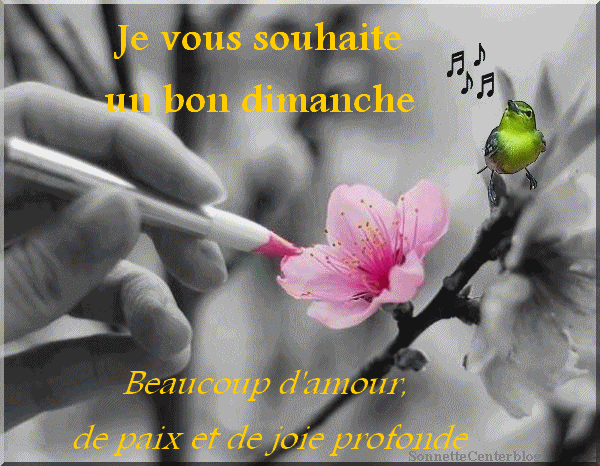Bon Dimanche Dans La Paix Du Christ