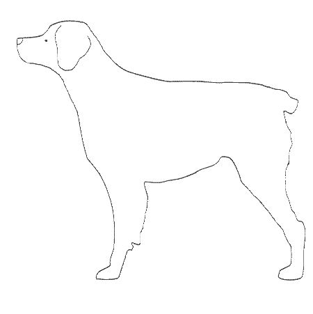 Free How To Draw A Dog In Black Out Line Download Free Clip Art Free Clip Art On Clipart Library Look at the shapes and placement, and then copy along!