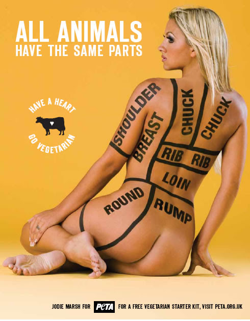 Jodie Marsh - animals campaign