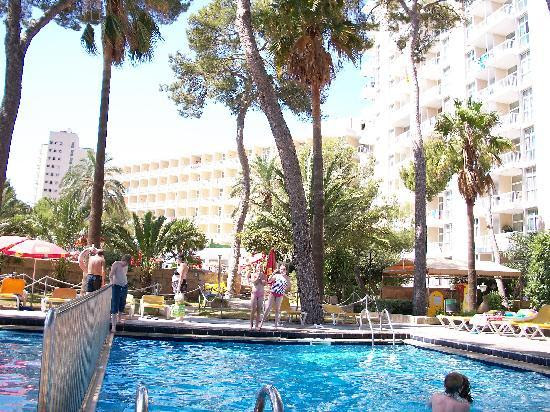 FotografÃas de Majorca Beach Hotel - Magalluf - Fotos de Apartamentos
