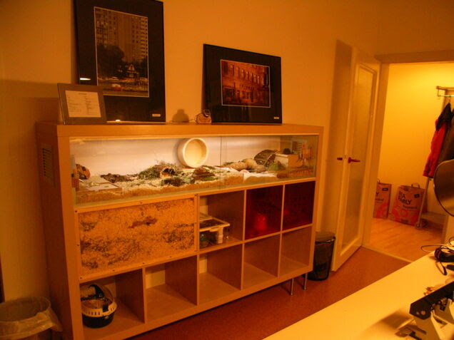 The Best Hacks From the Fan Site Ikea Doesn't Want You To See