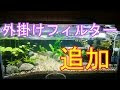 ++ 50 ++ 水槽 外掛けフィルター 853896-水槽 外掛けフィルター 音