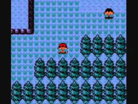 ポケモンxy 色違い伝説 幻コンプリート オメガルビーで使ってくよー W Vidoemo Emotional Video Unity