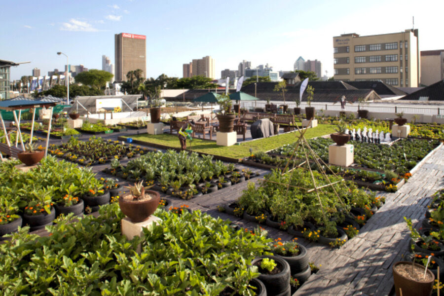 Image Result For Gardens School Of Technology Arts
