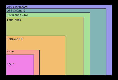 Sensorsizes_G1 X