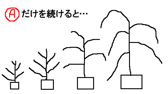 フェイジョアの切り戻し剪定 Naoto S Feijoa Garden なおとフェイジョア園