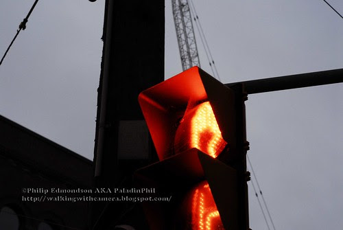 Stop Light Spider Web