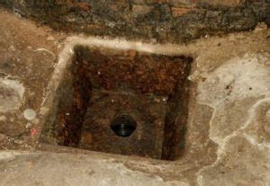sewer rats  lakewood  rocky river  lakewood