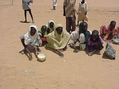 Refugees sifting through the sand looking for spills after a food distribution