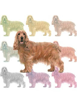 イングリッシュ コッカースパニエルのイラスト 条件付フリー素材集